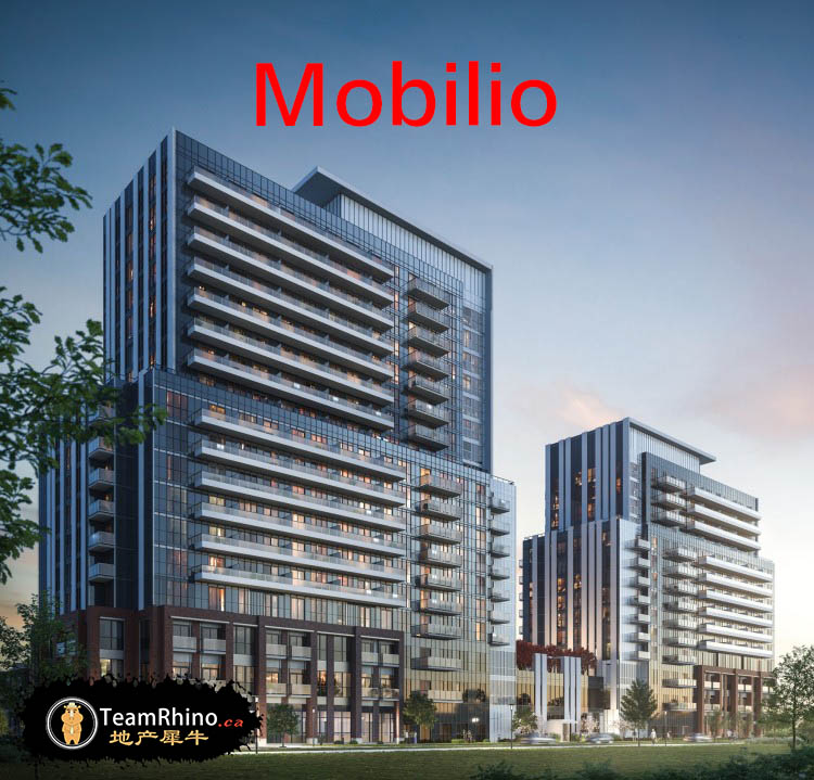 Mobilio Building 地产犀牛团队