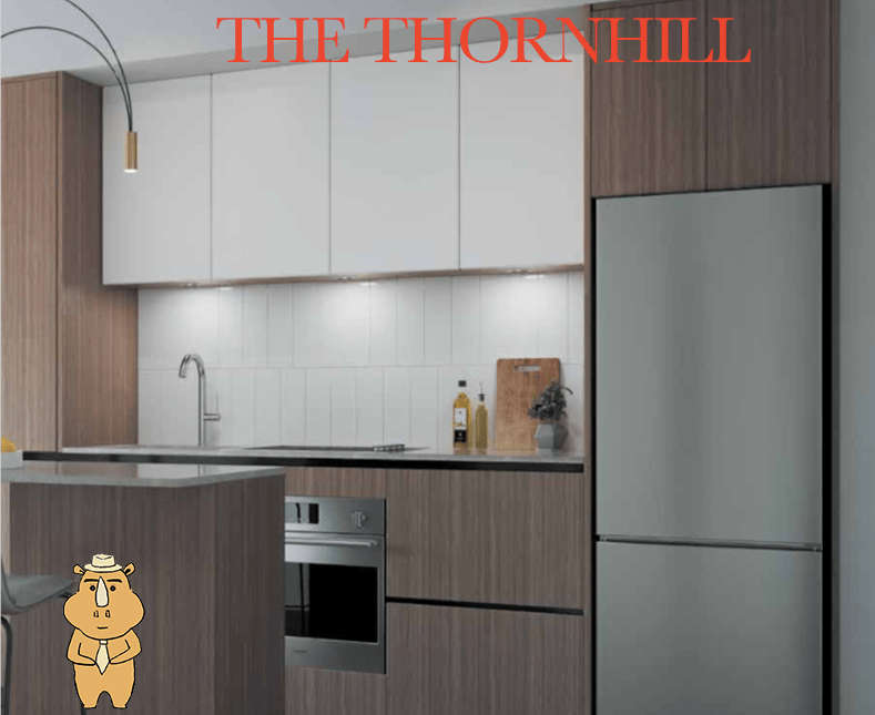 Thornhill Kitchen 多伦多地产犀牛团队