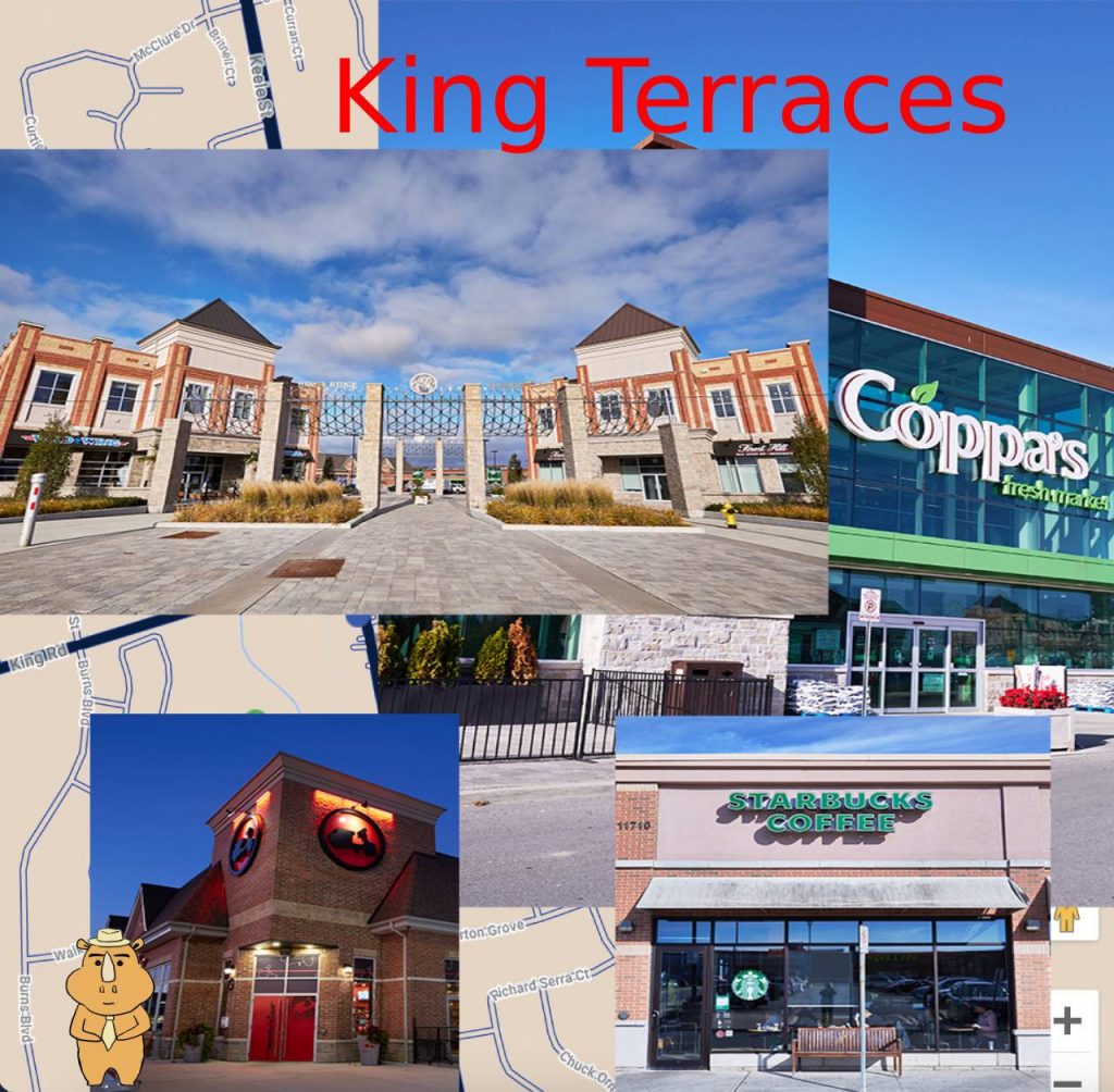 KingTerraces Around 多伦多地产犀牛团队