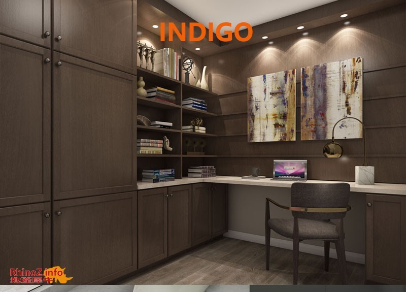 Indigo-study