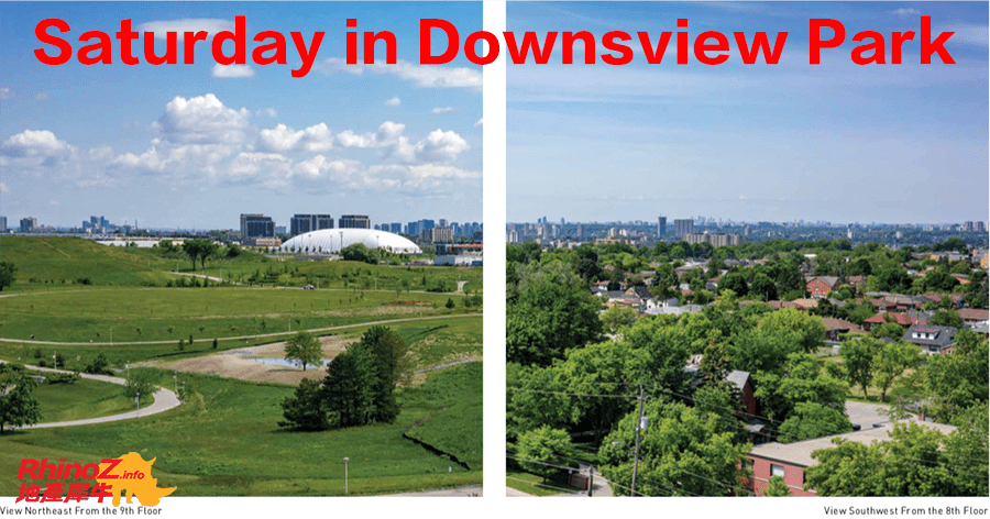 Saturday in Downsview Park