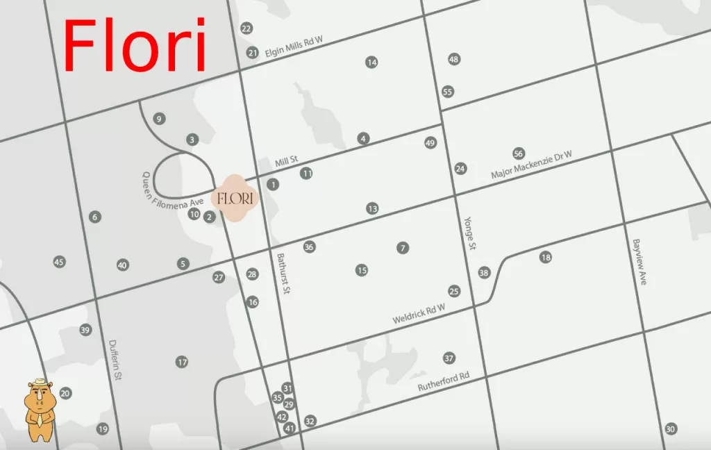 Flori